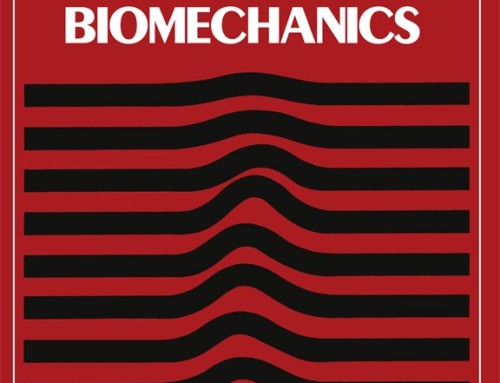 Multi-segment trunk kinematics