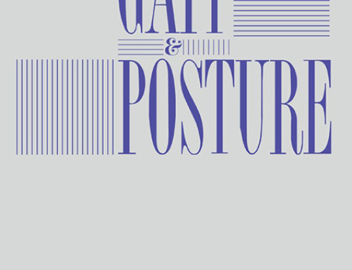 A method to differentiate the causes of stiff-knee gait in stroke patients – SIAMOC-Elsevier Best Study Award