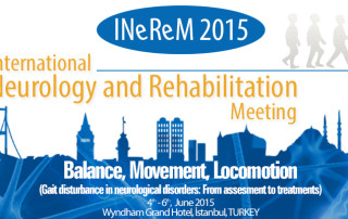 IneReM 2015, Gait Easy Report, MerloBioEngineering