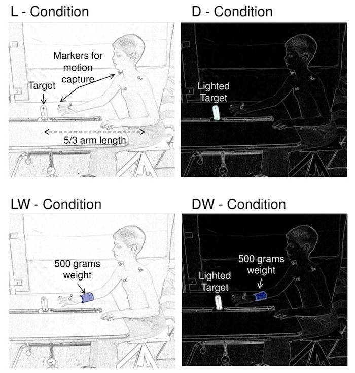 reaching in DMD reaching task