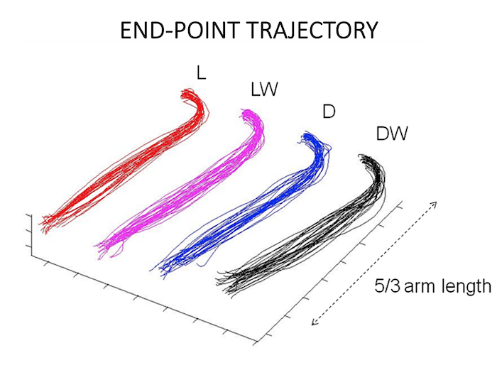 reaching trajectories reaching trajectories