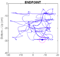 upper limb trajectory