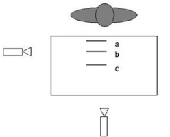 sight perspective frontal and lateral perspective