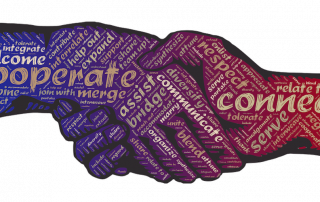 consultancy activity