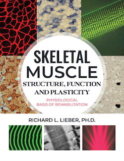 The physiological basis of rehabilitation Skeletal Muscle Structure, Function, and Plasticity