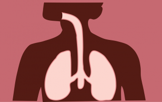 Chronic Obstructive Pulmonary Disease and rehabilitation