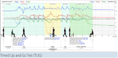 timed up and go test