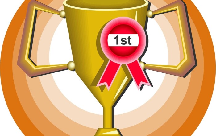 First price at the European Society for Movement Analysis in Adults and Children (ESMAC)